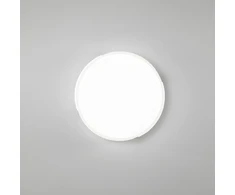 22W LED lubinis šviestuvas PANGEA, baltas, CCT