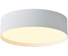 22W LED lubinis šviestuvas PARIS, baltas, 2700/3000/4000K, dimeriuojamas, IP54, P4028070BDT