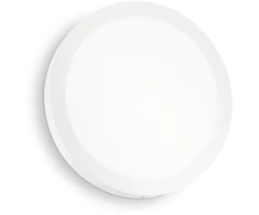 Lubinis šviestuvas 22W LED paviršinis šviestuvas UNIVERSAL ROUND, baltas, 2700K, 342603