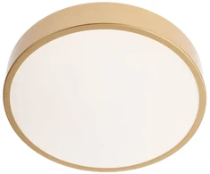 Lubinis šviestuvas 24W LED paviršinis šviestuvas KNOB, matinės aukso sp., 3000/6500K