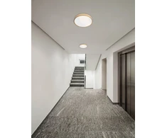 Lubinis šviestuvas 24W LED paviršinis šviestuvas KNOB, matinės baltos sp., 3000/6500K