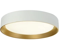 Lubinis šviestuvas 24W LED paviršinis šviestuvas SPIRITED, baltos/aukso sp., 3000K, 4271100