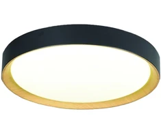 Lubinis šviestuvas 24W LED paviršinis šviestuvas SPIRITED, juodos/aukso sp., 3000K, 4271101