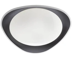 Lubinis šviestuvas 24W LED paviršinis šviestuvas VERENA, baltos/juodos sp., 4000K
