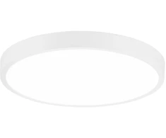 24W LED vonios lubinis šviestuvas DOMO, baltas, 4000K, IP44
