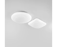 24W LED vonios lubinis šviestuvas MOON, baltas, CCT/RGB, dimeriuojamas, IP44