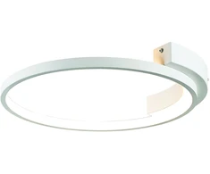 Lubinis šviestuvas 25W LED paviršinis lubų šviestuvas, baltas, 3000K, 2075