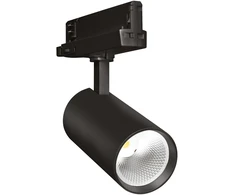 30W LED akcentinis šviestuvas į 3 fazių bėgelius SPECIAL FOOD, juodas, 24°, 5000K, skirtas daržovių apšvietimui