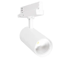 30W LED akcentinis šviestuvas į 3 fazių bėgelius TRACKLIGHT SPOT, baltas, 3000K, 24°