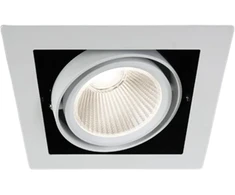 30W LED įleidžiamas šviestuvas, baltas, 4000K, 51130/W/C