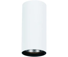 30W LED lubinis šviestuvas NESTOR, baltas, 3000K, 4214400