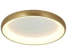 Lubinis šviestuvas 30W LED paviršinis šviestuvas, aukso sp., 3000K, 2042