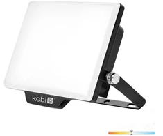30W LED prožektorius DELYO MHN, juodas, 4000K, IP65