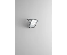 30W LED prožektorius ESUS, sidabro sp., CCT, IP65