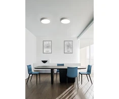 30W paviršinis/pakabinamas šviestuvas ISIA, baltas, 2700K, P345349PB