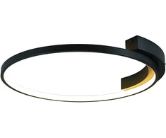 Lubinis šviestuvas 31W LED paviršinis lubų šviestuvas, juodas, 3000K, 2076