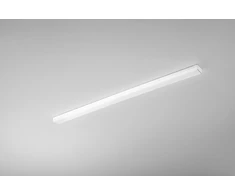 Pakabinamas šviestuvas 36W LED linijinis spintelės šviestuvas REGGY, baltas, CCT, IP44