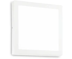 Lubinis šviestuvas 36W LED paviršinis šviestuvas UNIVERSAL SQUARE, baltas, 2700K, 342634