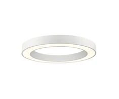 Lubinis šviestuvas 38W LED paviršinis šviestuvas APOLLO, baltas, 3000K, 4214100