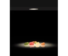 3W LED įleidžiamas šviestuvas DOT, baltas, 2700K, E3949090B