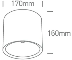Lubinis šviestuvas 40W LED lubinis vidaus/lauko šviestuvas, juodas, 3000/3500/4000K, IP65, 67540E/B/V