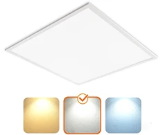 40W LED panelė DAVRO, balta, 4000K, IP40, 60x60cm