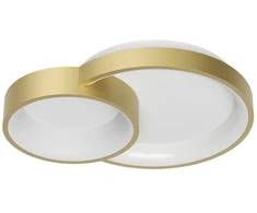 40W LED paviršinis lubinis šviestuvas COMBI, matinės aukso sp., 3000/4000/6000K, dimeriuojamas