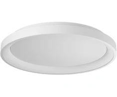 Lubinis šviestuvas 40W LED paviršinis šviestuvas ICONIC, baltas, 3000/4000K, dimeriuojamas, 01-3905