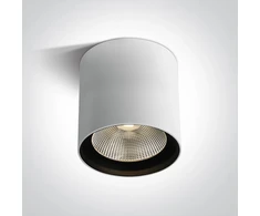 Lubinis šviestuvas 40W paviršinis šviestuvas, baltas, 3000K, 67516C/W/W