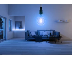4,8W LED lemputė SMART WiFi, E27, RGBTW, G125, 320°, dimeriuojama