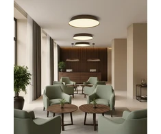 50W LED lubinis šviestuvas CORA, medžio/juodos sp., 2700/3000K, dimeriuojamas, P4015270WALDT