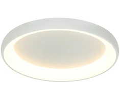 Lubinis šviestuvas 50W LED paviršinis šviestuvas, baltas, 3000K, 2049