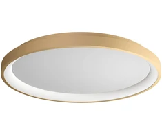 Lubinis šviestuvas 50W LED paviršinis šviestuvas ICONIC, matinės aukso sp., 3000/4000K, dimeriuojamas, 01-3909