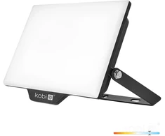 50W LED prožektorius DELYO MHN, juodas, 6000K, IP65