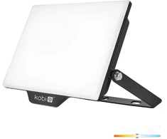 50W LED prožektorius DELYO MHN, juodas, 4000K, IP65