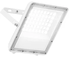 50W LED prožektorius ESUS, baltas, CCT, IP65