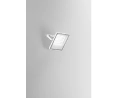 50W LED prožektorius ESUS, baltas, CCT, IP65
