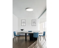 50W paviršinis/pakabinamas šviestuvas ISIA, baltas, 2700K, dimeriuojamas, P345369PBDP
