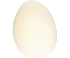 5W LED sieninis šviestuvas, baltas, 3000K, 20136