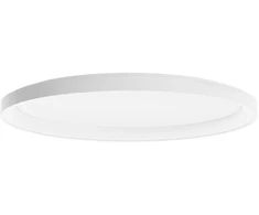Lubinis šviestuvas 60W LED paviršinis šviestuvas NOBU, baltas, 3000/4000K, dimeriuojamas, 01-3806