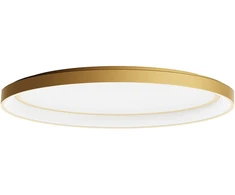 Lubinis šviestuvas 60W LED paviršinis šviestuvas NOBU, matinės aukso sp., 3000/4000K, dimeriuojamas, 01-3807