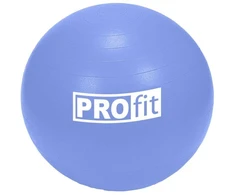 65 cm "Profit" gimnastikos kamuolys su pompa DK 2102
