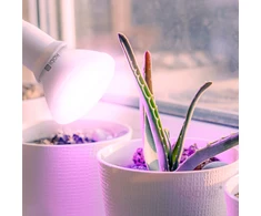 7W LED augalų auginimo lemputė PLANTY, E27, balta, 1200K