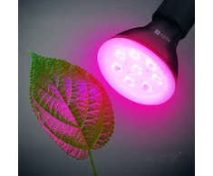 7W LED augalų auginimo lemputė PLANTY, E27, juoda, 1200K