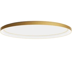 Lubinis šviestuvas 80W LED paviršinis šviestuvas NOBU, matinės aukso sp., 3000/4000K, dimeriuojamas, 01-3810