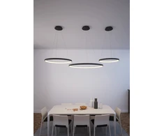 89W LED pakabinamas šviestuvas GRACE, juodas, 2700/3000/4000K, dimeriuojamas, C3848472NDT