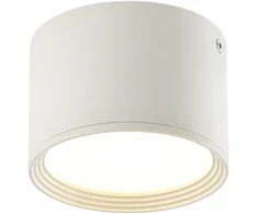 Lubinis šviestuvas 8W LED paviršinis lubų šviestuvas, baltas, 3000K, 22133