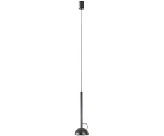 9W LED pakabinamas šviestuvas RAVEN, juodas, 2700K, 01-4176