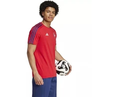 Adidas Arsenal London DNA Marškinėliai M IT4104