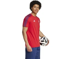 Adidas Arsenal London DNA Marškinėliai M IT4104